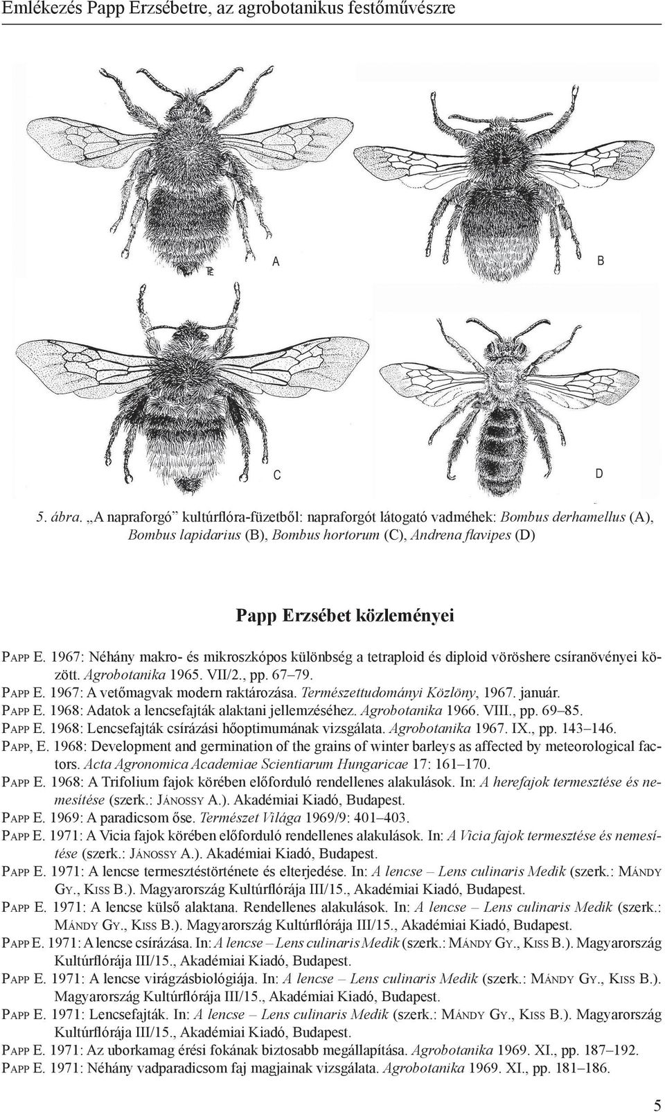 1967: Néhány makro- és mikroszkópos különbség a tetraploid és diploid vöröshere csíranövényei között. Agrobotanika 1965. VII/2., pp. 67 79. Papp E. 1967: A vetőmagvak modern raktározása.