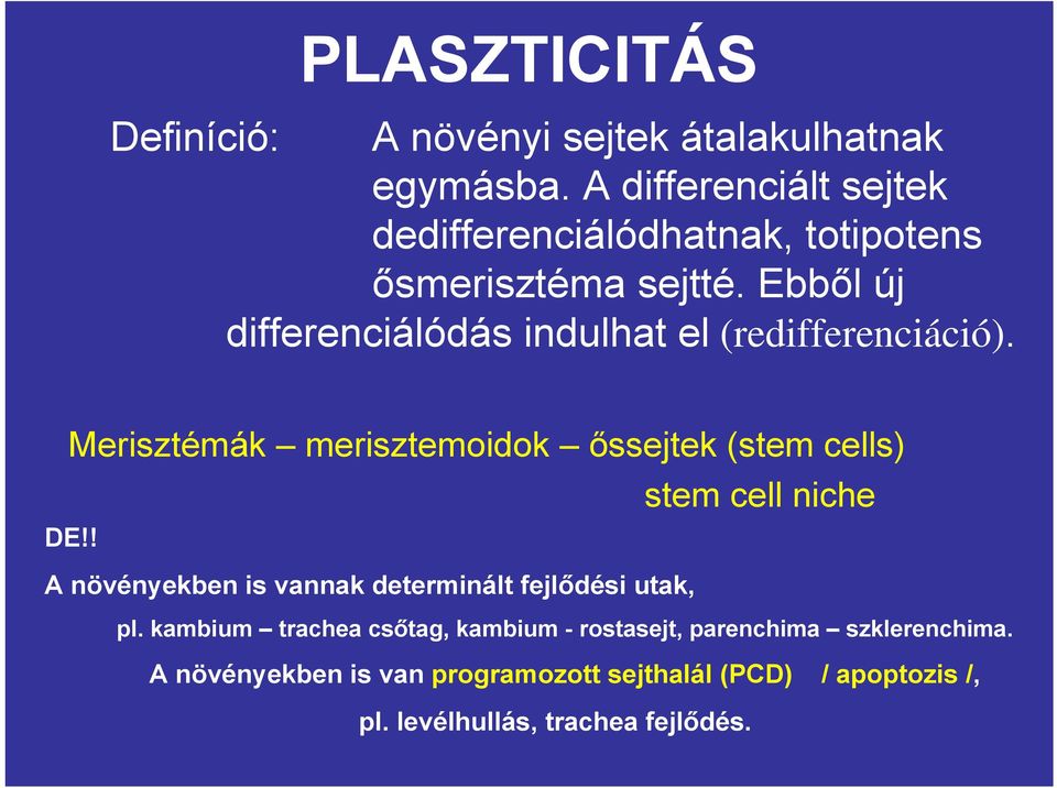 Ebből új differenciálódás indulhat el (redifferenciáció).