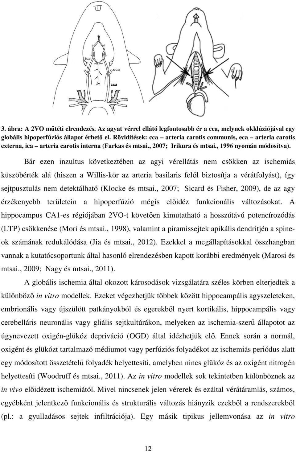 Bár ezen inzultus következtében az agyi vérellátás nem csökken az ischemiás küszöbérték alá (hiszen a Willis-kör az arteria basilaris felől biztosítja a vérátfolyást), így sejtpusztulás nem
