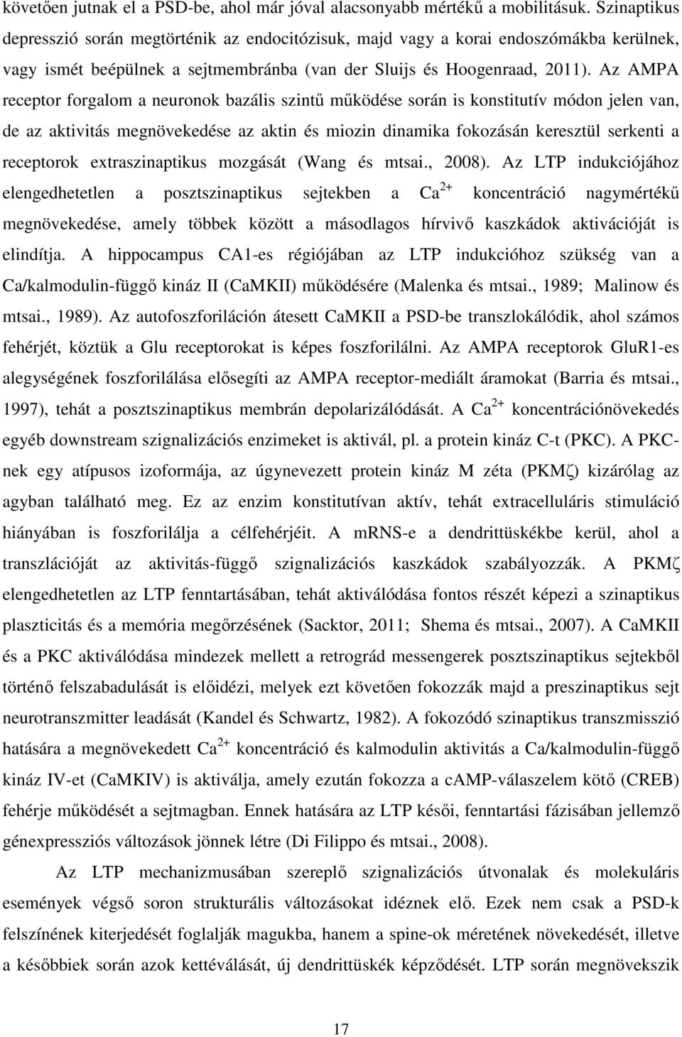 Az AMPA receptor forgalom a neuronok bazális szintű működése során is konstitutív módon jelen van, de az aktivitás megnövekedése az aktin és miozin dinamika fokozásán keresztül serkenti a receptorok