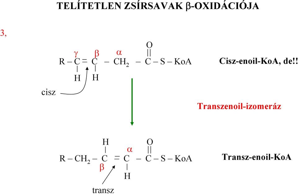 Cisz-enoil-KoA, de!