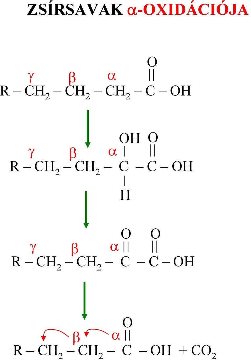 α C γ β α C C γ