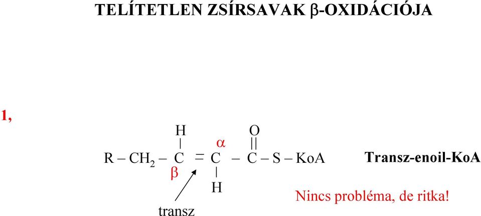 KoA Transz-enoil-KoA β