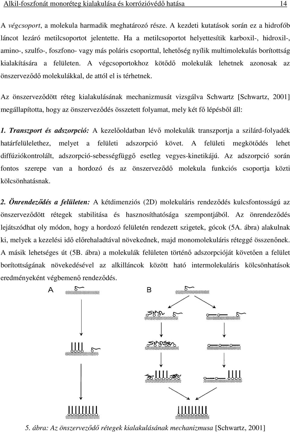 A végcsoportokhoz kötődő molekulák lehetnek azonosak az önszerveződő molekulákkal, de attól el is térhetnek.