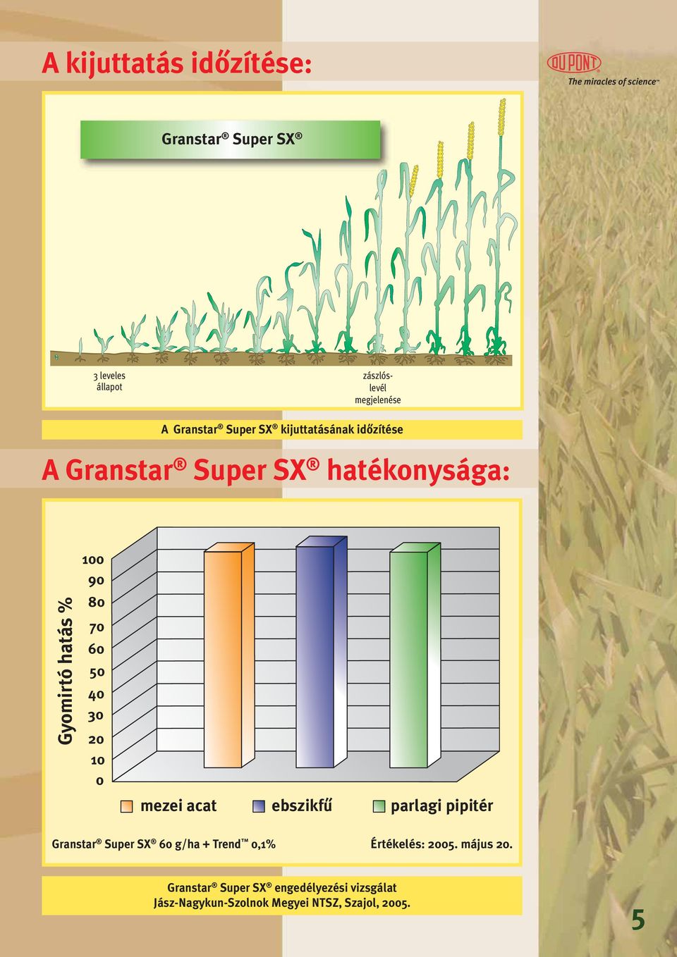 30 20 10 0 mezei acat ebszikfû parlagi pipitér Granstar Super SX 60 g/ha + Trend 0,1% Értékelés: 2005.