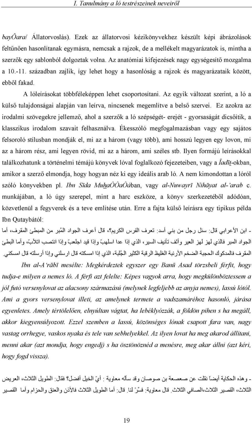 Az anatómiai kifejezések nagy egységesítő mozgalma a 10.-11. században zajlik, így lehet hogy a hasonlóság a rajzok és magyarázataik között, ebből fakad.