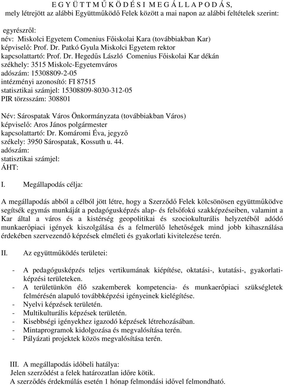 Patkó Gyula Miskolci Egyetem rektor kapcsolattartó: Prof. Dr.