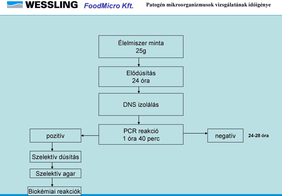 pozitív PCR reakció 1 óra 40 perc negatív 24-28 óra