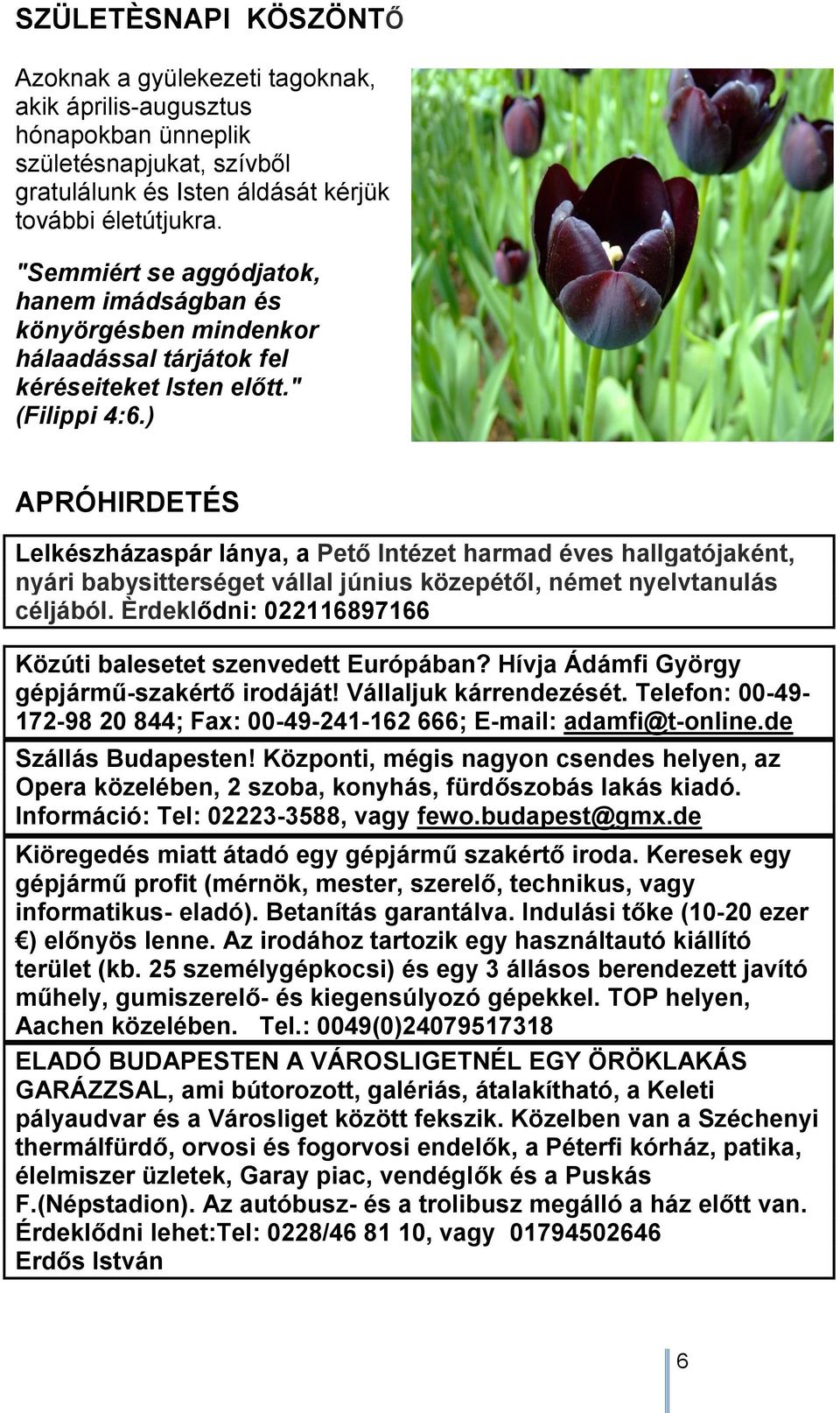 ) APRÓHIRDETÉS Lelkészházaspár lánya, a Pető Intézet harmad éves hallgatójaként, nyári babysitterséget vállal június közepétől, német nyelvtanulás céljából.