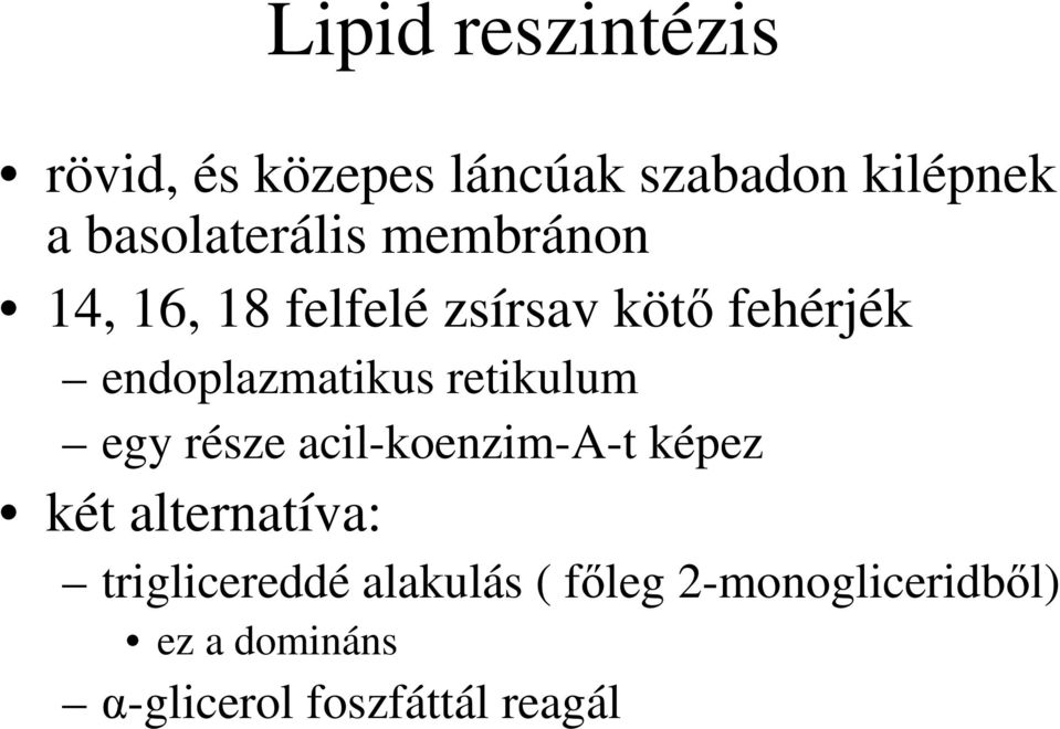 endoplazmatikus retikulum egy része acil-koenzim-a-t képez két