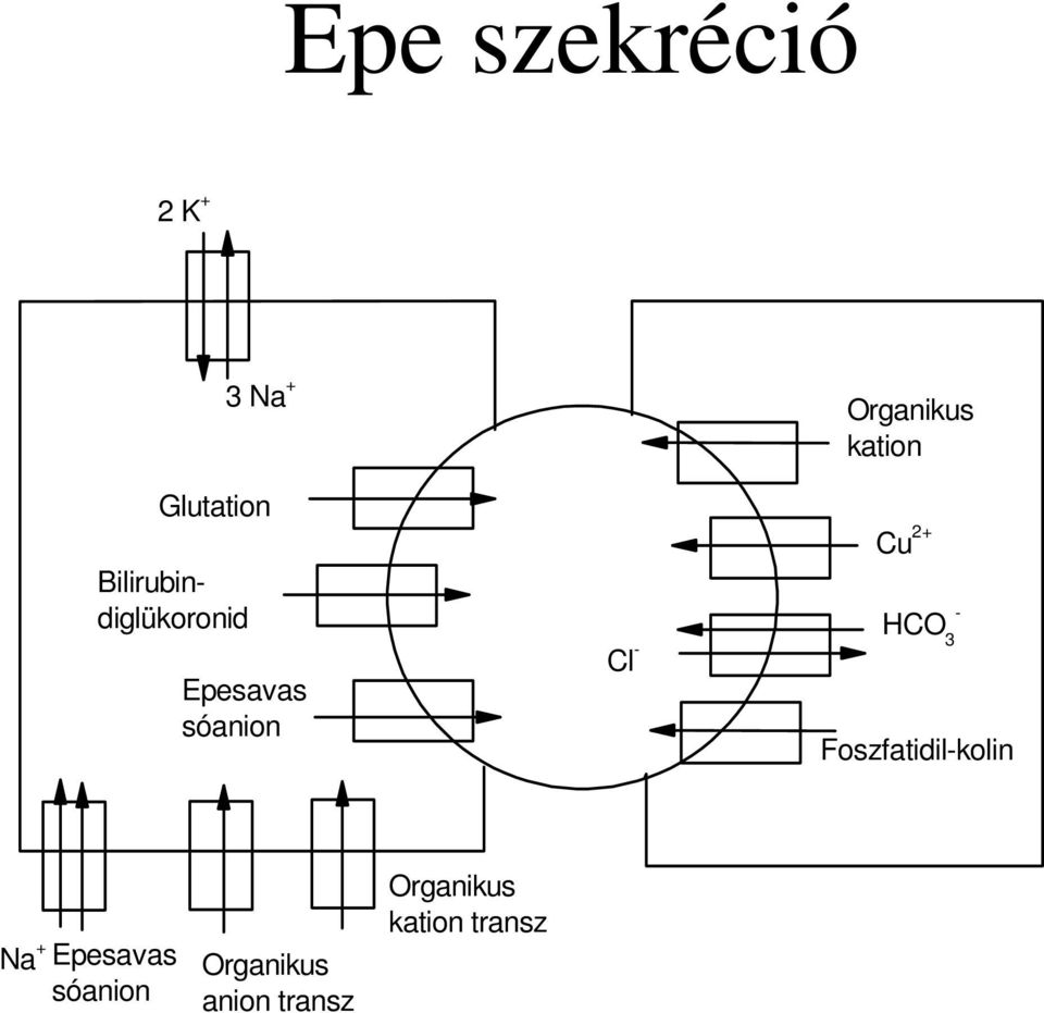 - Organikus kation Cu 2+ HCO 3 -