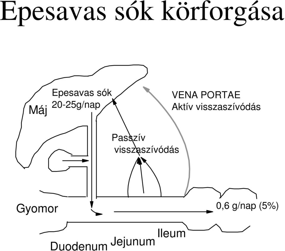 visszaszívódás Passzív visszaszívódás