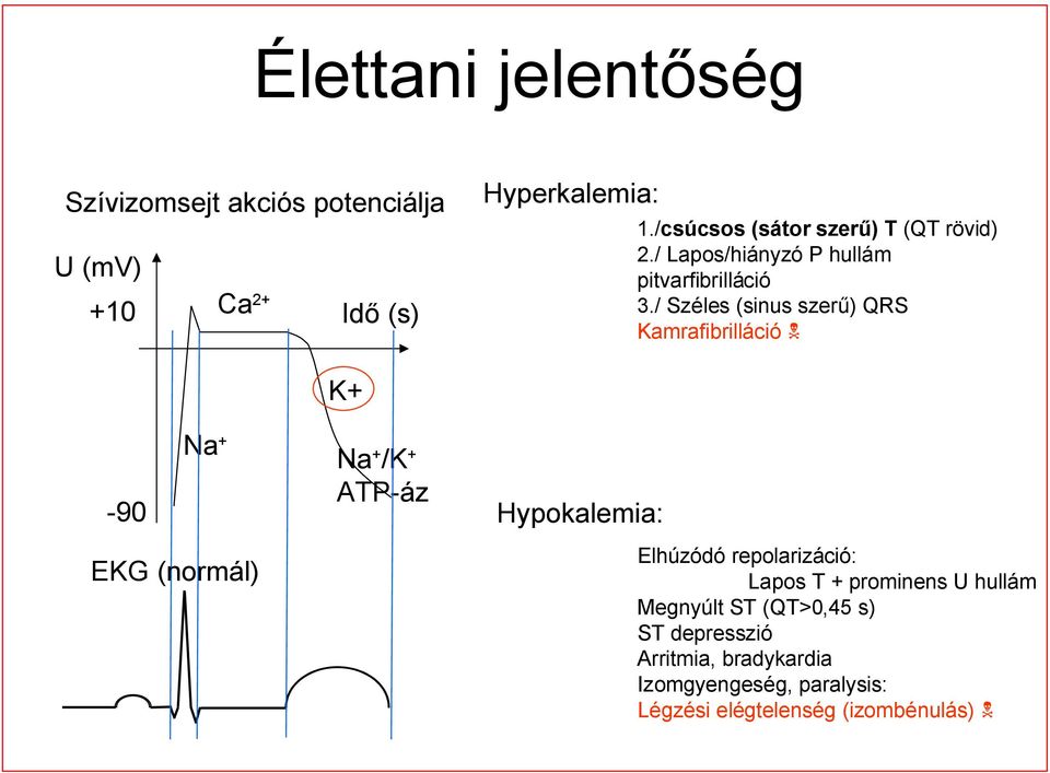 / Széles (sinus szerű) QRS Kamrafibrilláció K+ -90 Na + Na + /K + ATP-áz Hypokalemia: EKG (normál) Elhúzódó