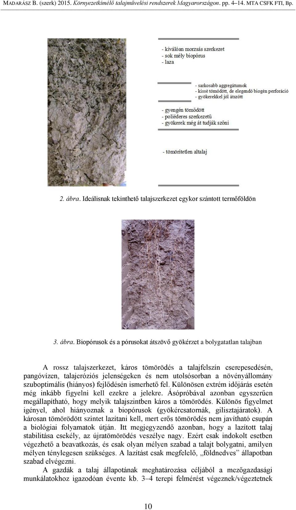 Biopórusok és a pórusokat átszövő gyökérzet a bolygatatlan talajban A rossz talajszerkezet, káros tömörödés a talajfelszín cserepesedésén, pangóvízen, talajeróziós jelenségeken és nem utolsósorban a