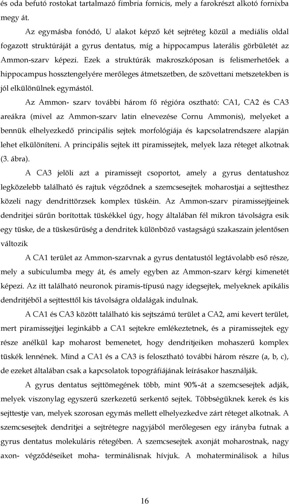 Ezek a struktúrák makroszkóposan is felismerhetőek a hippocampus hossztengelyére merőleges átmetszetben, de szövettani metszetekben is jól elkülönülnek egymástól.