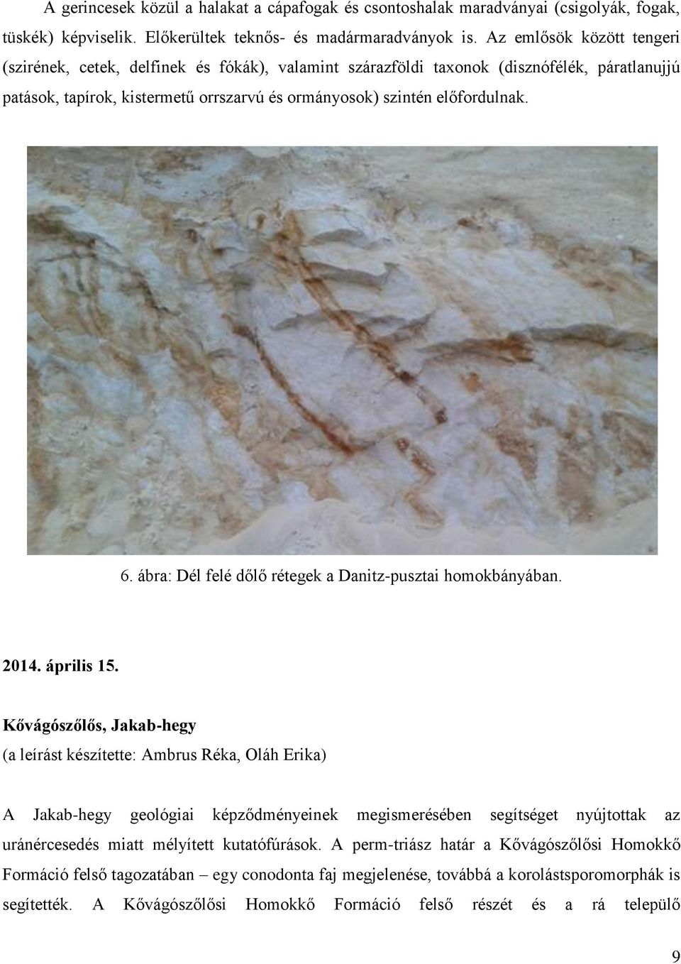 ábra: Dél felé dőlő rétegek a Danitz-pusztai homokbányában. 2014. április 15.