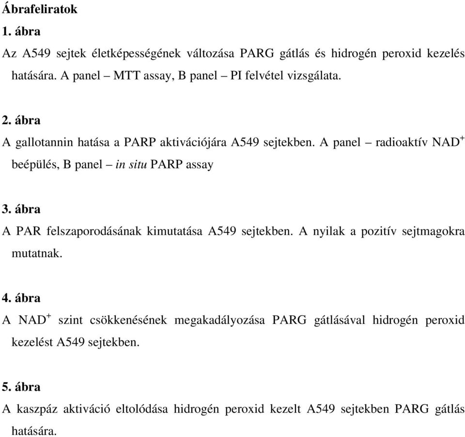 A panel radioaktív NAD + beépülés, B panel in situ PARP assay 3. ábra A PAR felszaporodásának kimutatása A549 sejtekben.