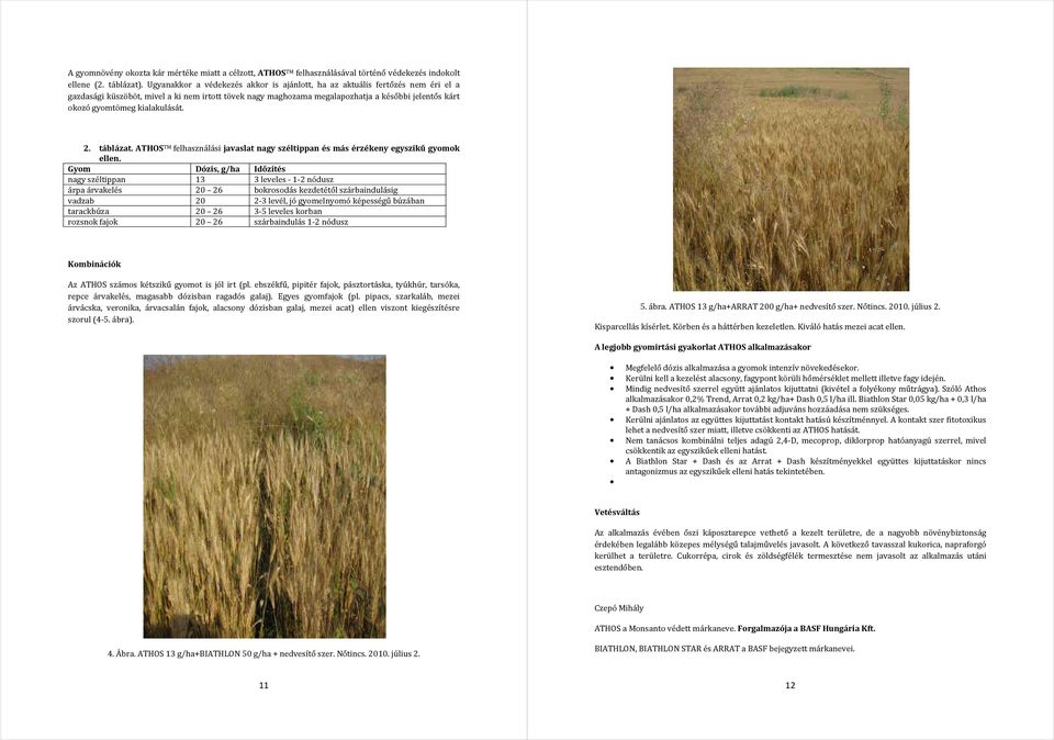 kialakulását. 2. táblázat. ATHOS TM felhasználási javaslat nagy széltippan és más érzékeny egyszikű gyomok ellen.