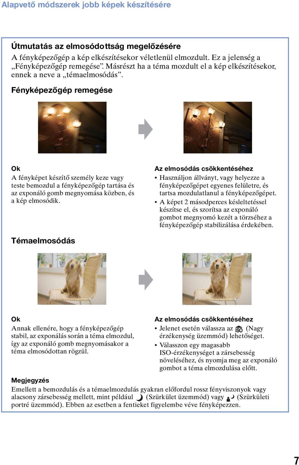 Fényképezőgép remegése Ok A fényképet készítő személy keze vagy teste bemozdul a fényképezőgép tartása és az exponáló gomb megnyomása közben, és a kép elmosódik.