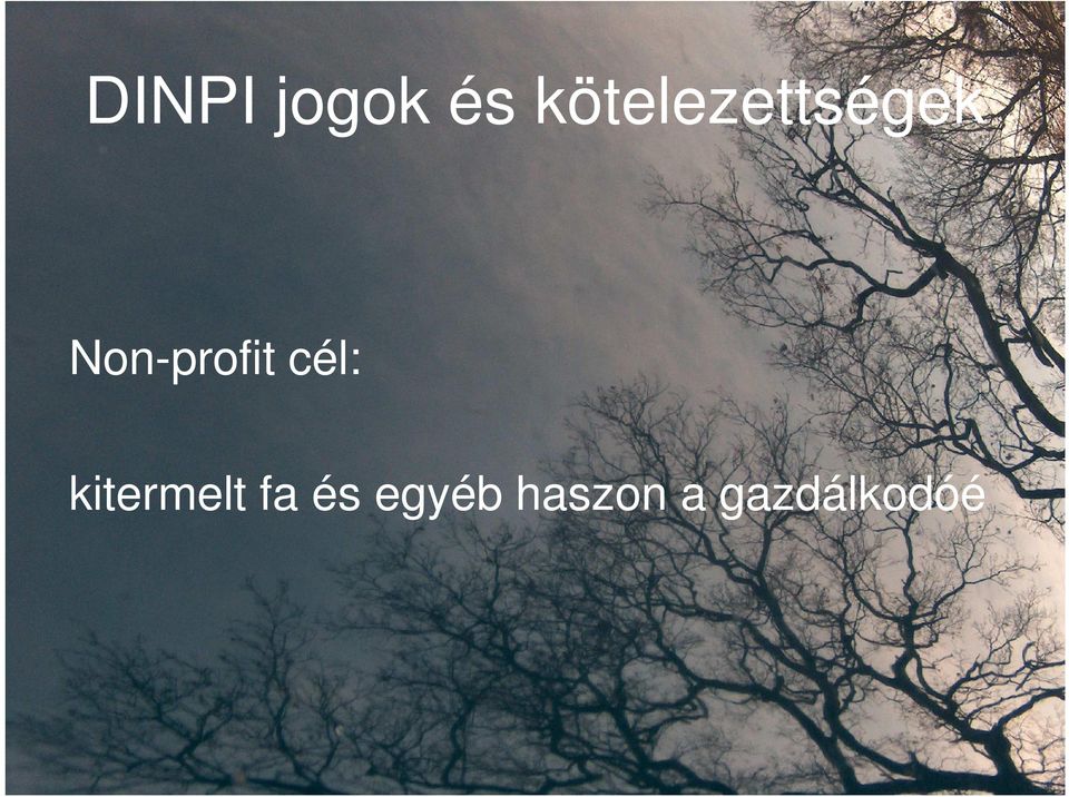 Non-profit cél: