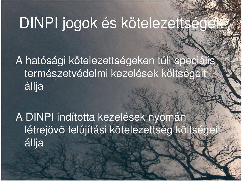 kezelések költségeit állja A DINPI indította