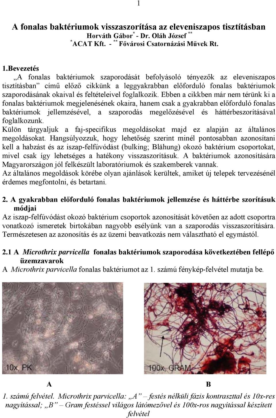 feltételeivel foglalkozik.