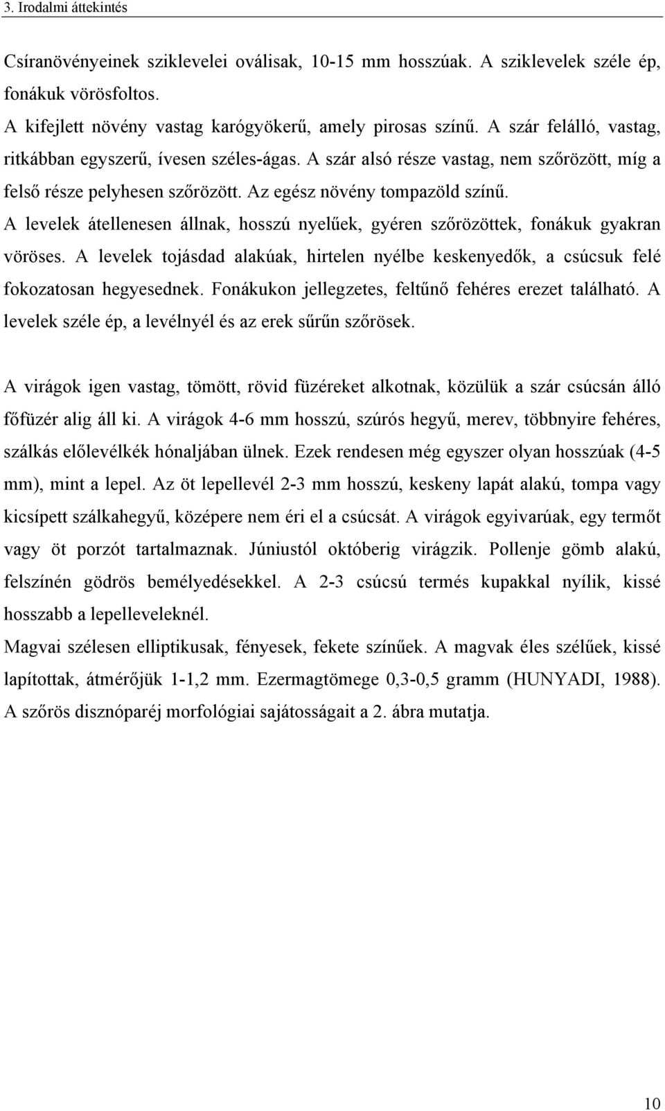 A levelek átellenesen állnak, hosszú nyelűek, gyéren szőrözöttek, fonákuk gyakran vöröses. A levelek tojásdad alakúak, hirtelen nyélbe keskenyedők, a csúcsuk felé fokozatosan hegyesednek.