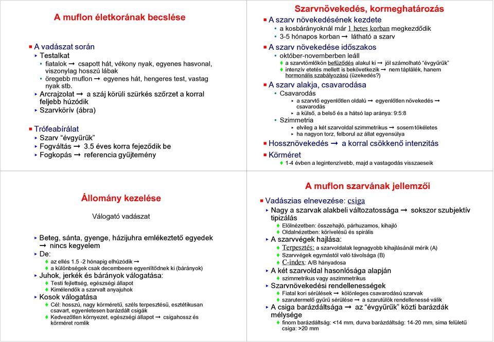 referencia gyûjtemény Szarvnövekedés, kormeghatározás P A szarv növekedésének kezdete a kosbárányoknál már 1 hetes korban megkezdõdik 3-5 hónapos korban!