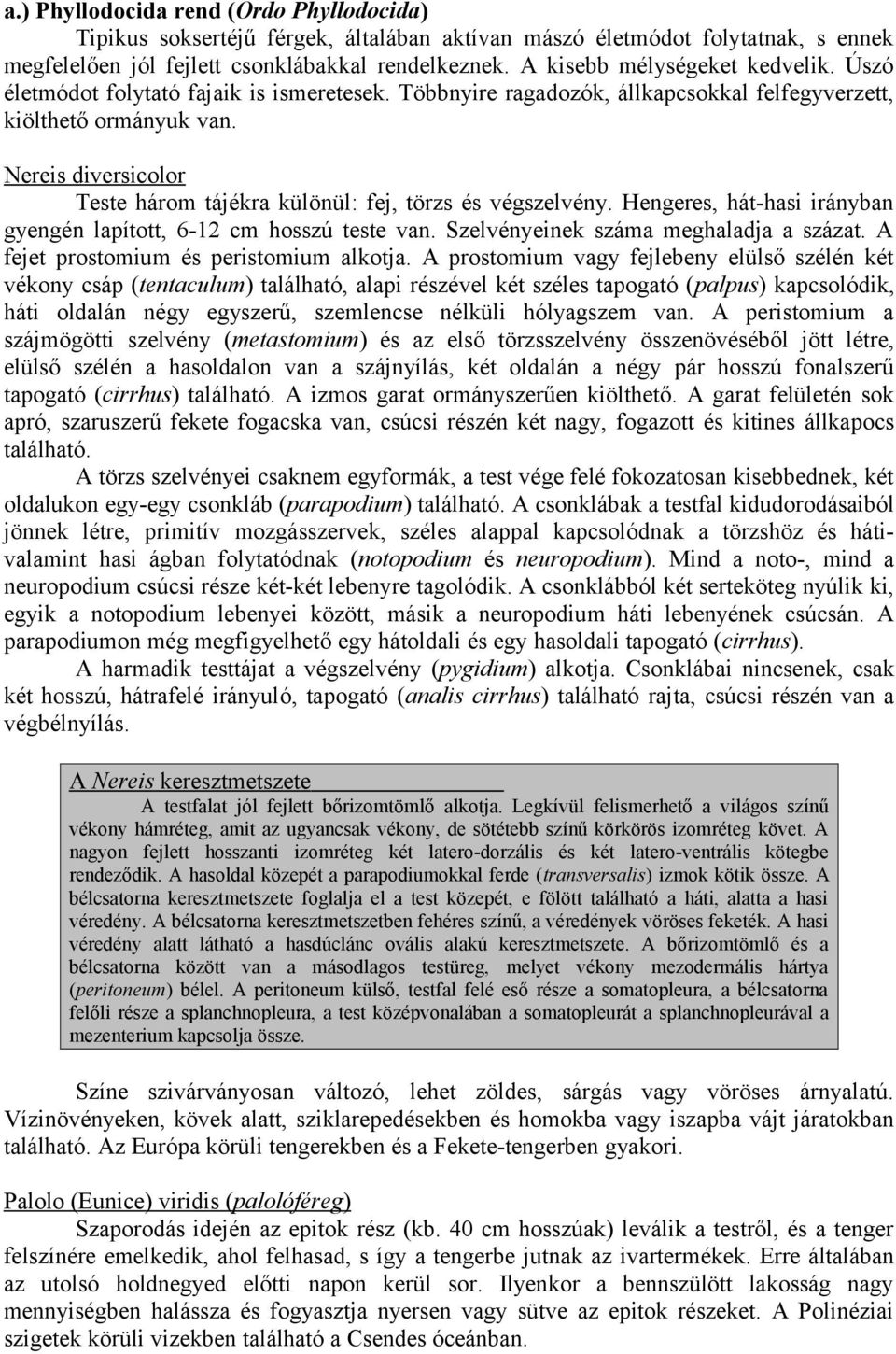 Nereis diversicolor Teste három tájékra különül: fej, törzs és végszelvény. Hengeres, hát-hasi irányban gyengén lapított, 6-12 cm hosszú teste van. Szelvényeinek száma meghaladja a százat.