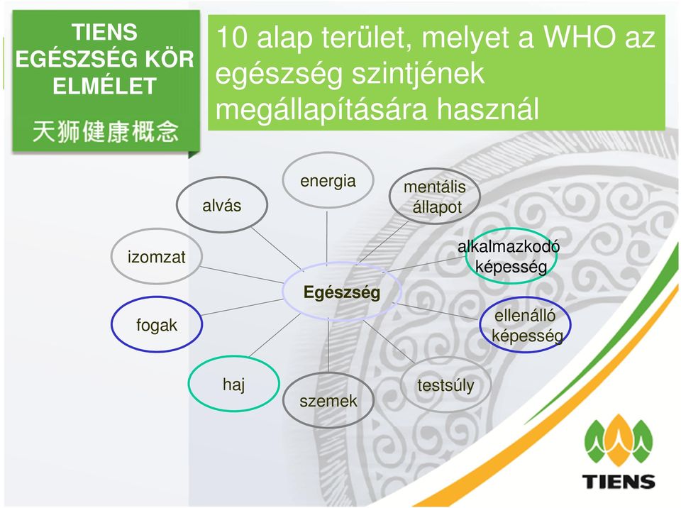 mentális állapot alkalmazkodó képesség izomzat