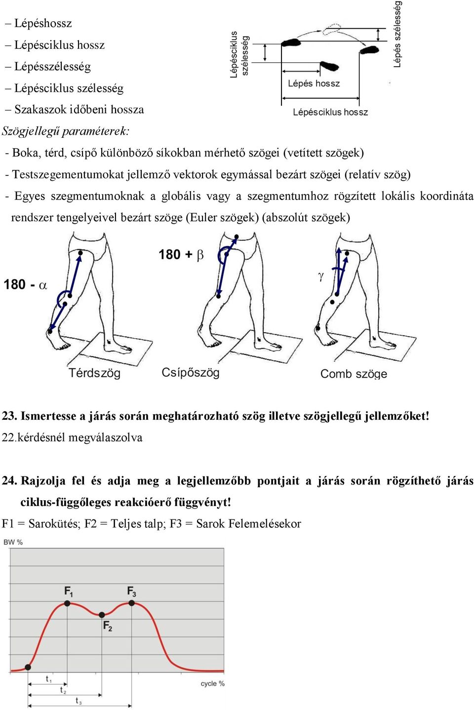 koordináta rendszer tengelyeivel bezárt szöge (Euler szögek) (abszolút szögek) 23. Ismertesse a járás során meghatározható szög illetve szögjellegű jellemzőket! 22.