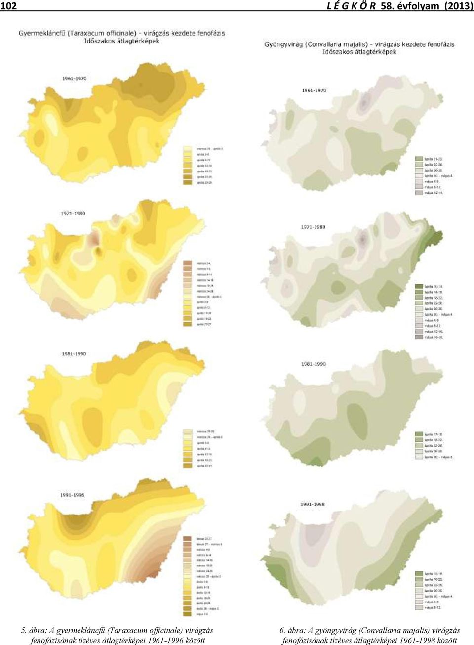 ábra: A gyöngyvirág (Convallaria majalis) virágzás