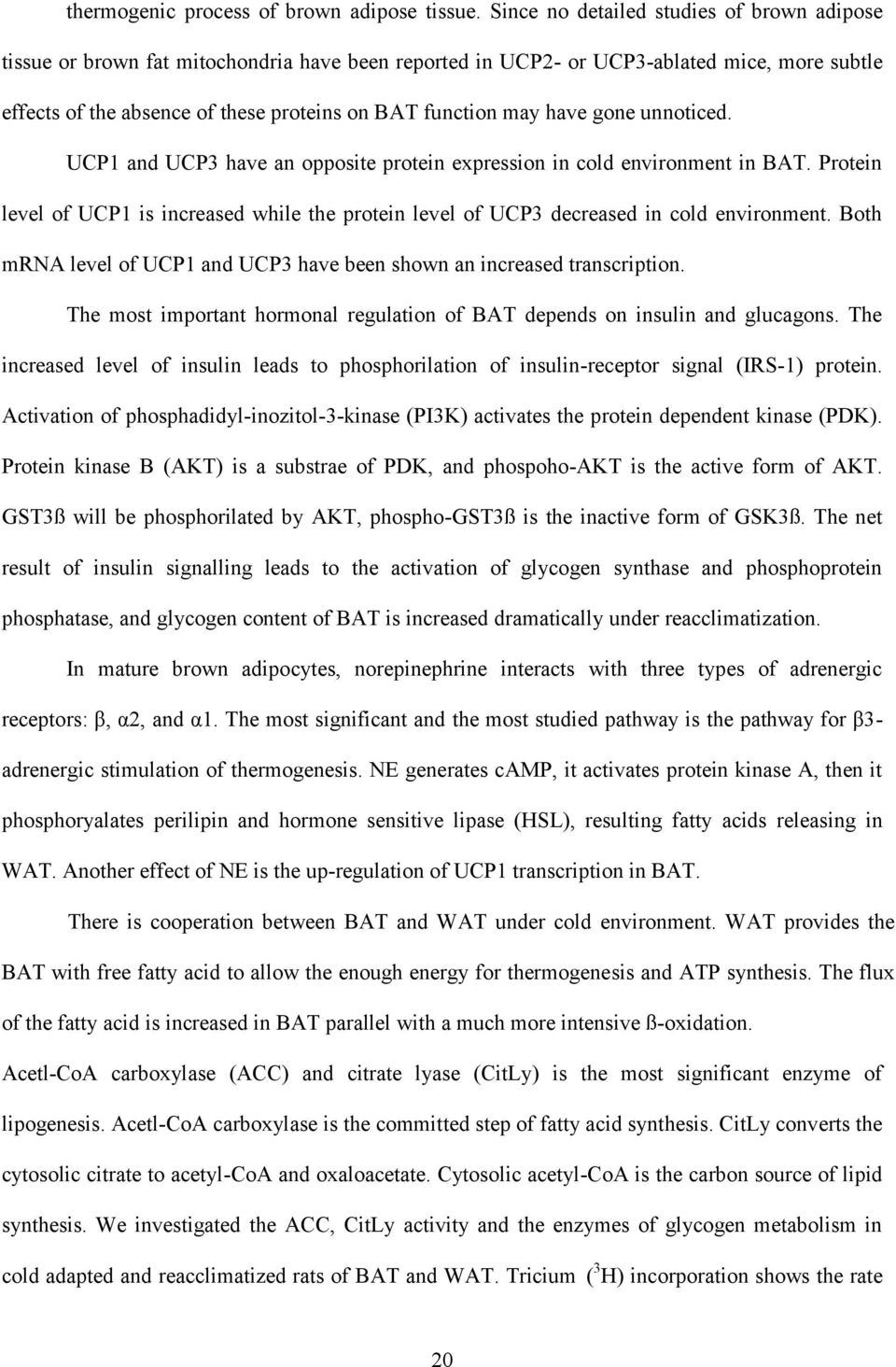 have gone unnoticed. UCP1 and UCP3 have an opposite protein expression in cold environment in BAT. Protein level of UCP1 is increased while the protein level of UCP3 decreased in cold environment.