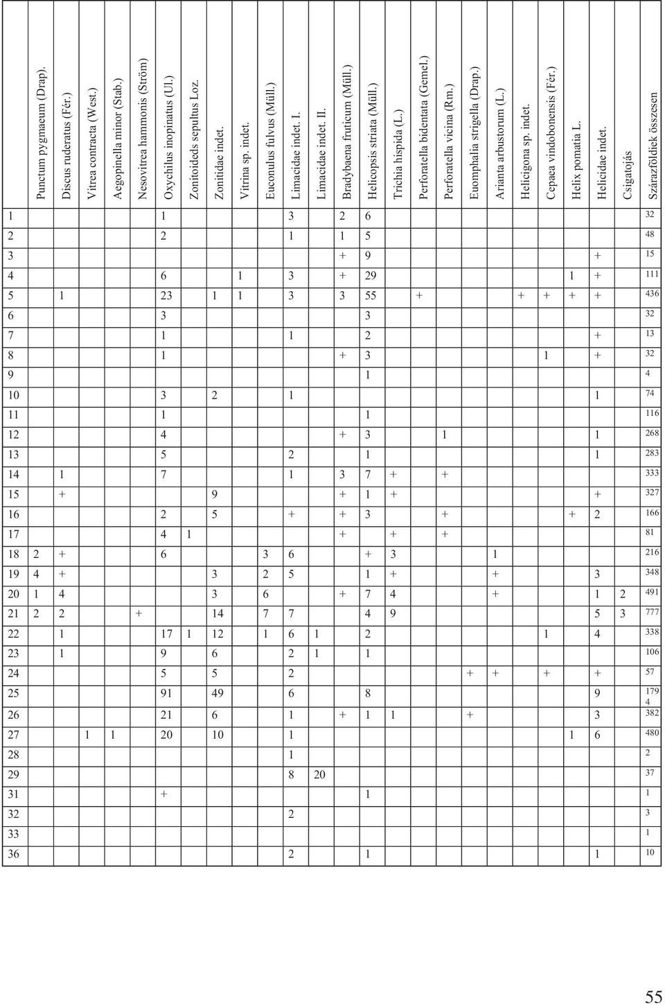 ) Perforatella vicina (Rm.) Euomphalia strigella (Drap.) Arianta arbustorum (L.) Helicigona sp. indet. Cepaea vindobonensis (Fér.) Helix pomatia L. Helicidae indet.