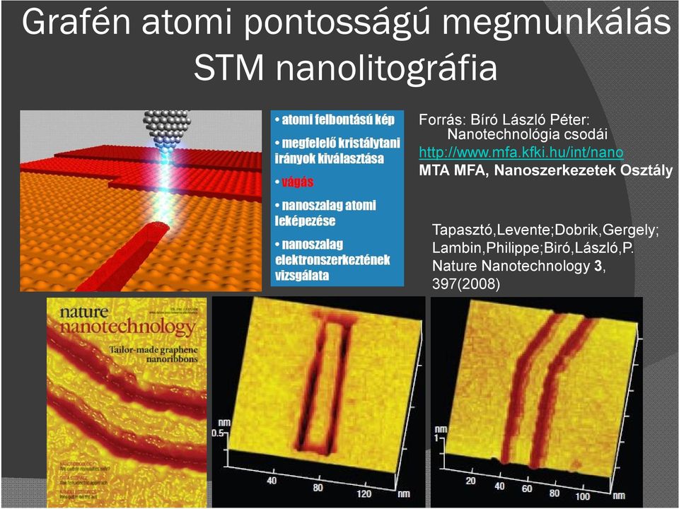 hu/int/nano MTA MFA, Nanoszerkezetek Osztály