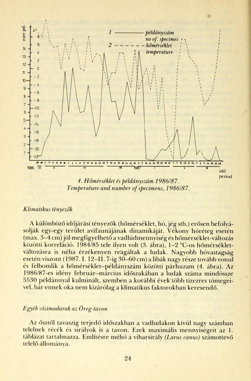 Vékony hóréteg esetén (max. 3-4 cm) jól megfigyelhető a vadlúdmennyiség és hőmérséklet-változás közötti korreláció. 1984/85 tele ilyen volt (3.