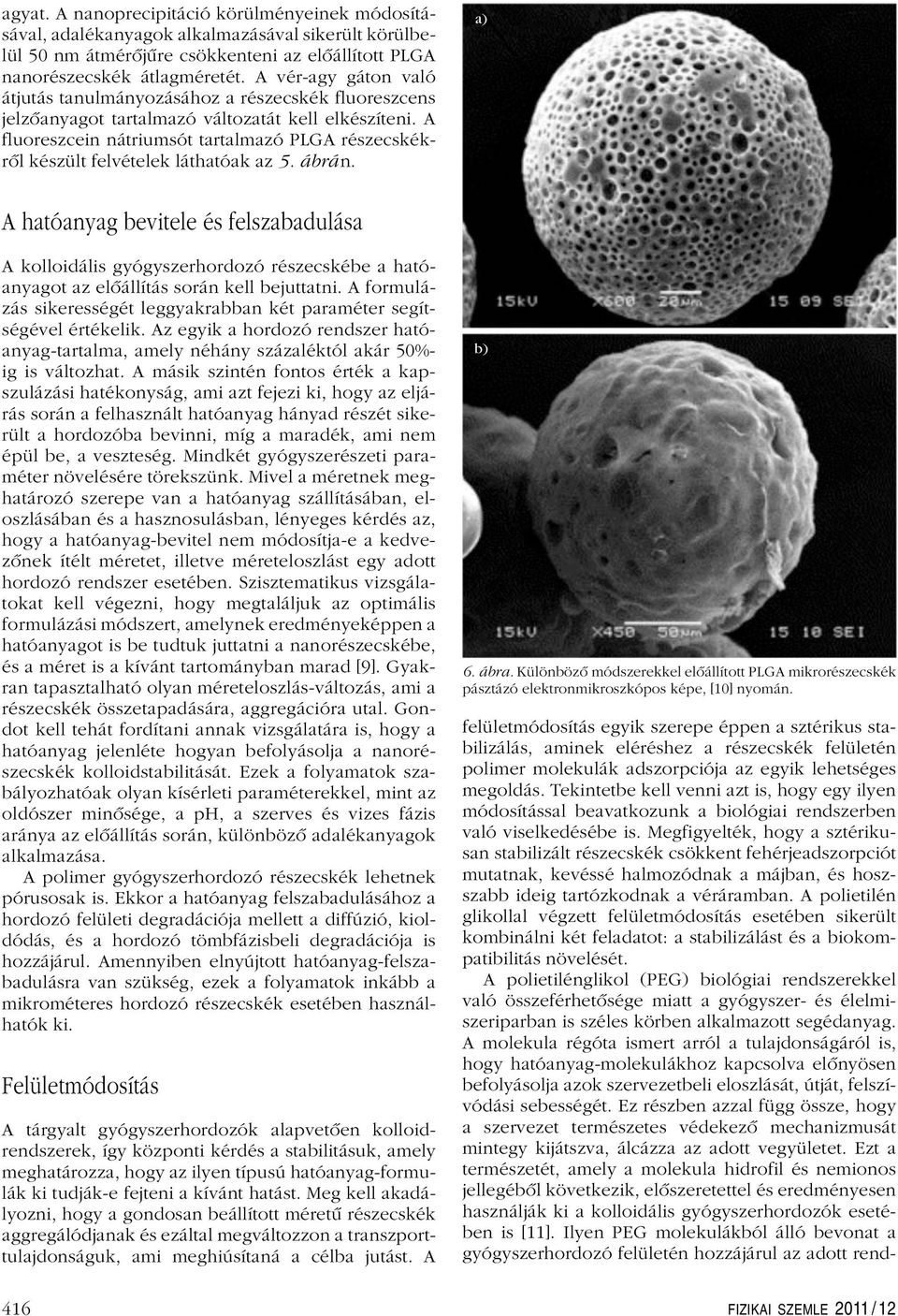 A fluoreszcein nátriumsót tartalmazó PLGA részecskékrôl készült felvételek láthatóak az 5. ábrán.