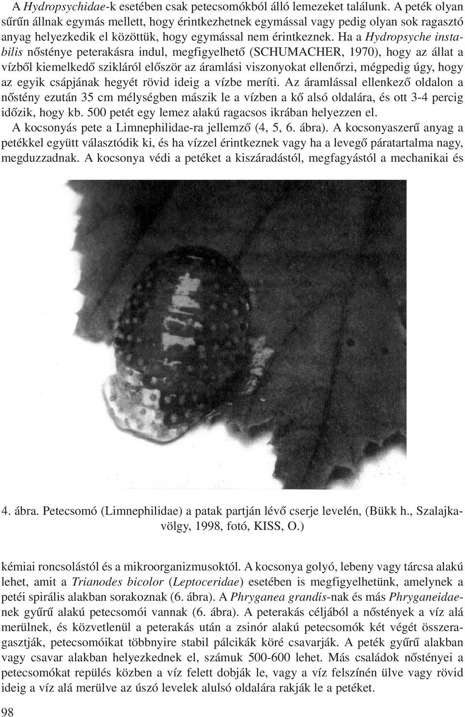 Ha a Hydropsyche instabilis nõsténye peterakásra indul, megfigyelhetõ (SCHUMACHER, 1970), hogy az állat a vízbõl kiemelkedõ szikláról elõször az áramlási viszonyokat ellenõrzi, mégpedig úgy, hogy az