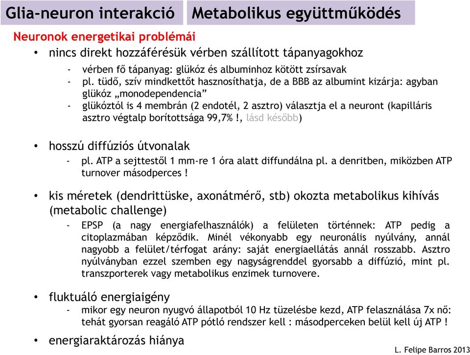 borítottsága 99,7%!, lásd később) hosszú diffúziós útvonalak - pl. ATP a sejttestől 1 mm-re 1 óra alatt diffundálna pl. a denritben, miközben ATP turnover másodperces!