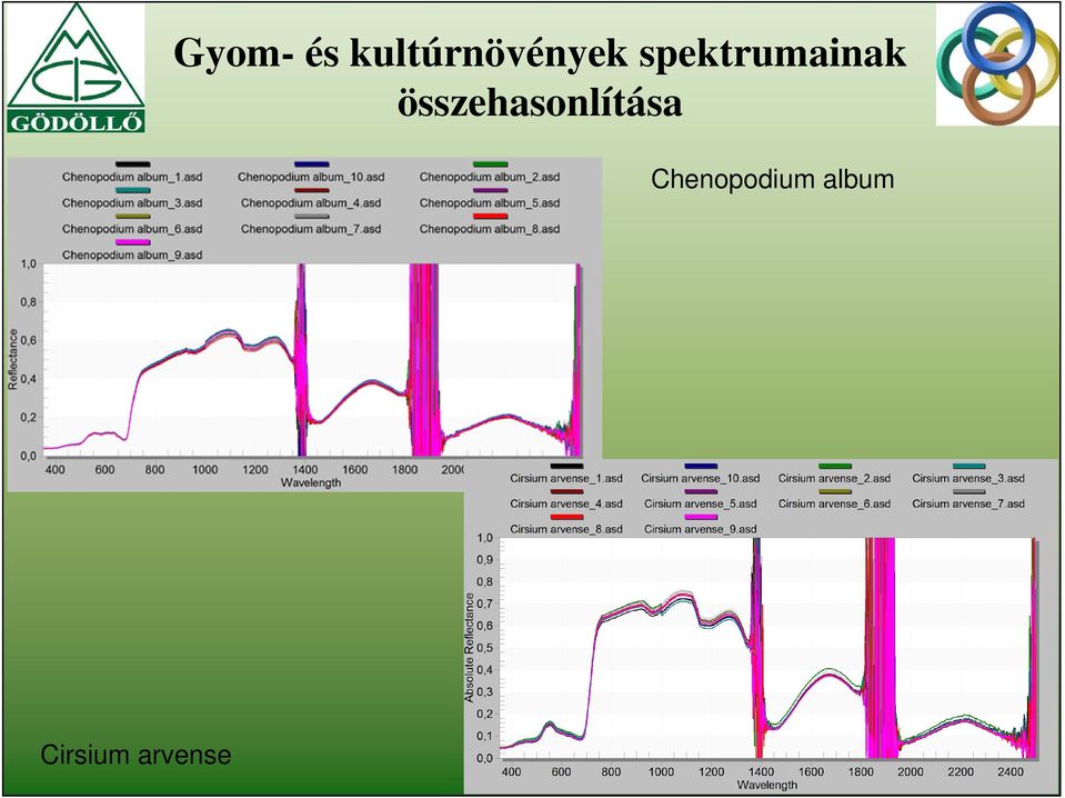 spektrumainak