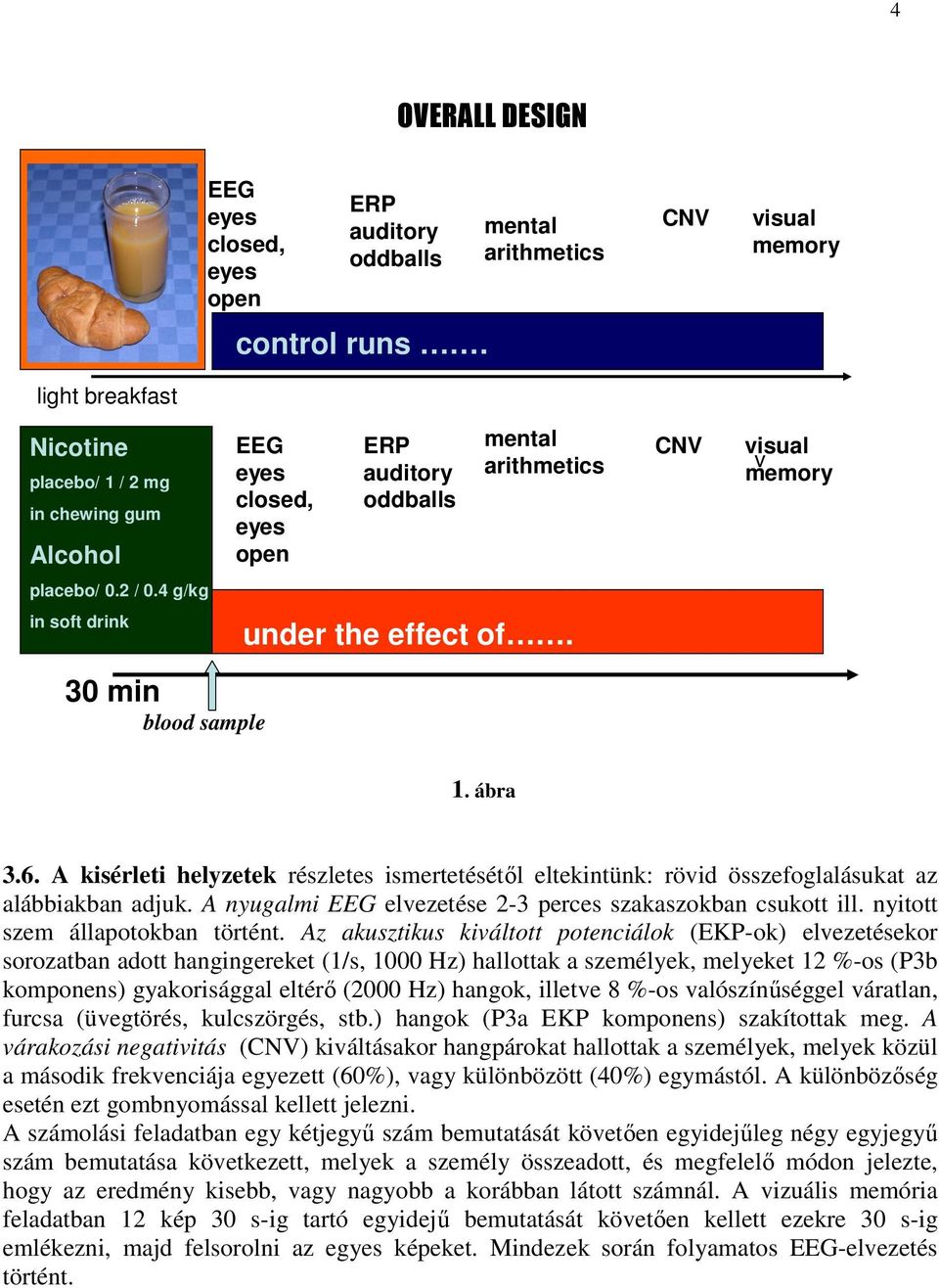 0.2 / 0.4 g/kg in soft drink under the effect of. 30 min blood sample 1. ábra 3.6. A kisérleti helyzetek részletes ismertetésétıl eltekintünk: rövid összefoglalásukat az alábbiakban adjuk.