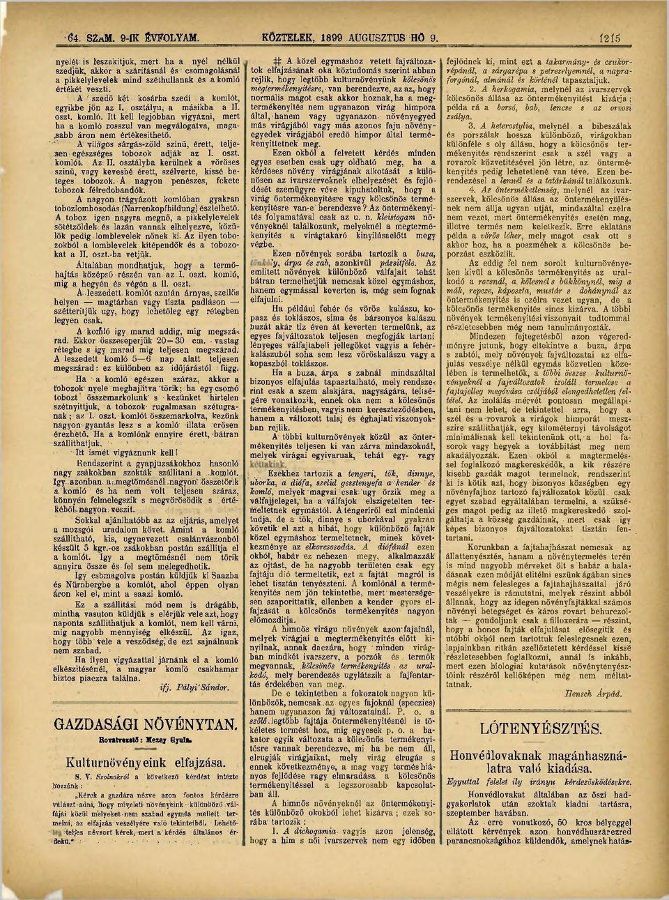 osztályú, a másikba a II. oszt. komló. Itt Isell legjobban vigyázni, mert ha a komló rosszul van megválogatva, magasabb áron nem értékesíthető.