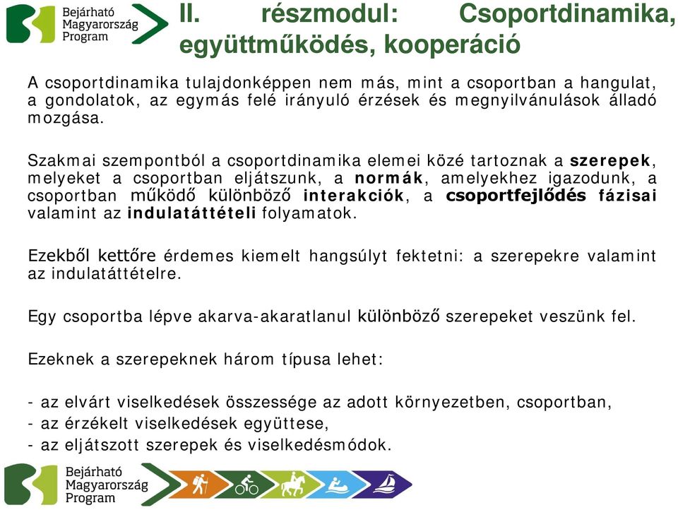 Szakmai szempontból a csoportdinamika elemei közé tartoznak a szerepek, melyeket a csoportban eljátszunk, a normák, amelyekhez igazodunk, a csoportban működő különböző interakciók, a csoportfejlődés