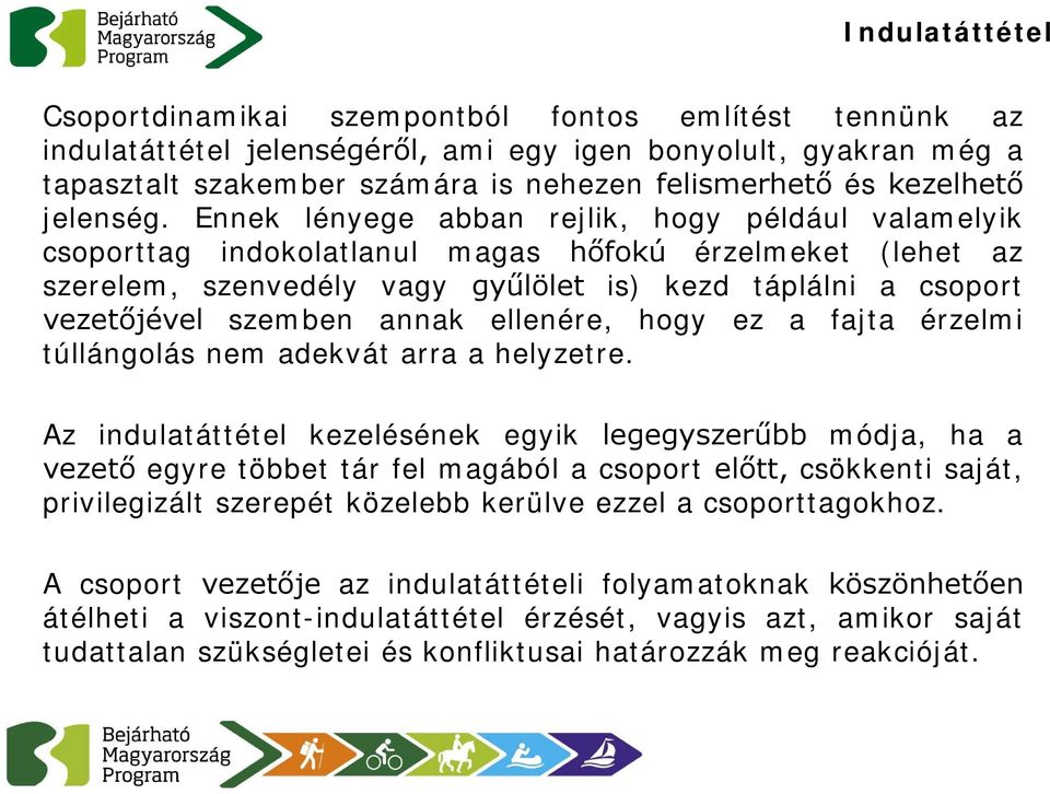 Ennek lényege abban rejlik, hogy például valamelyik csoporttag indokolatlanul magas hőfokú érzelmeket (lehet az szerelem, szenvedély vagy gyűlölet is) kezd táplálni a csoport vezetőjével szemben