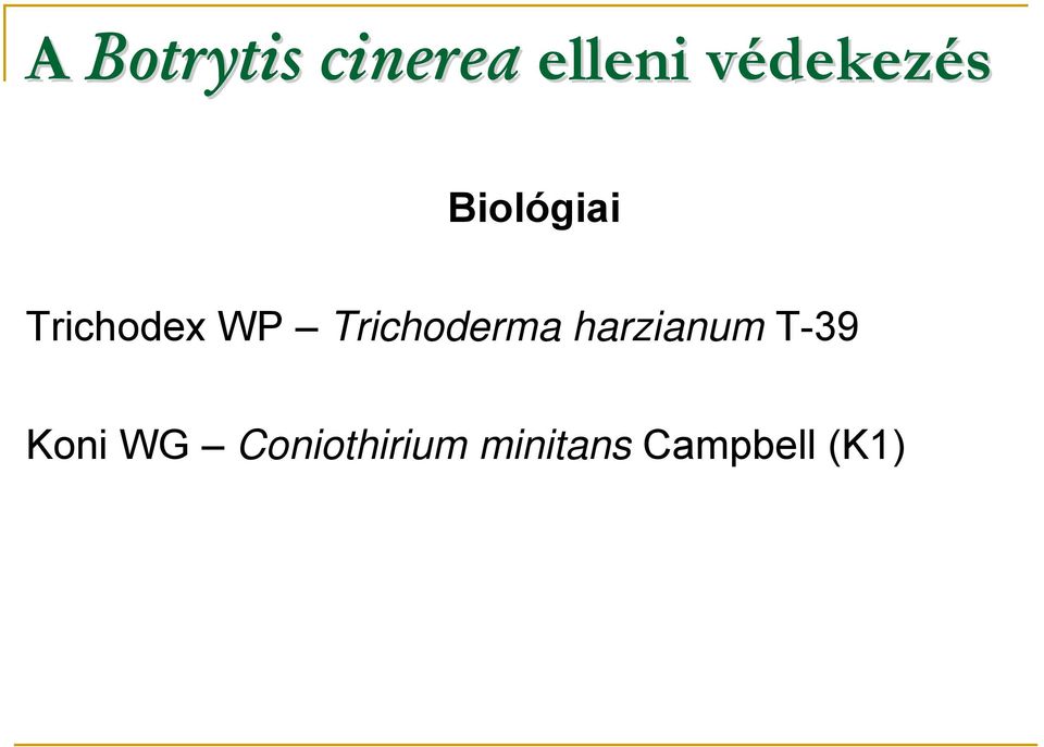 Trichodex WP Trichoderma