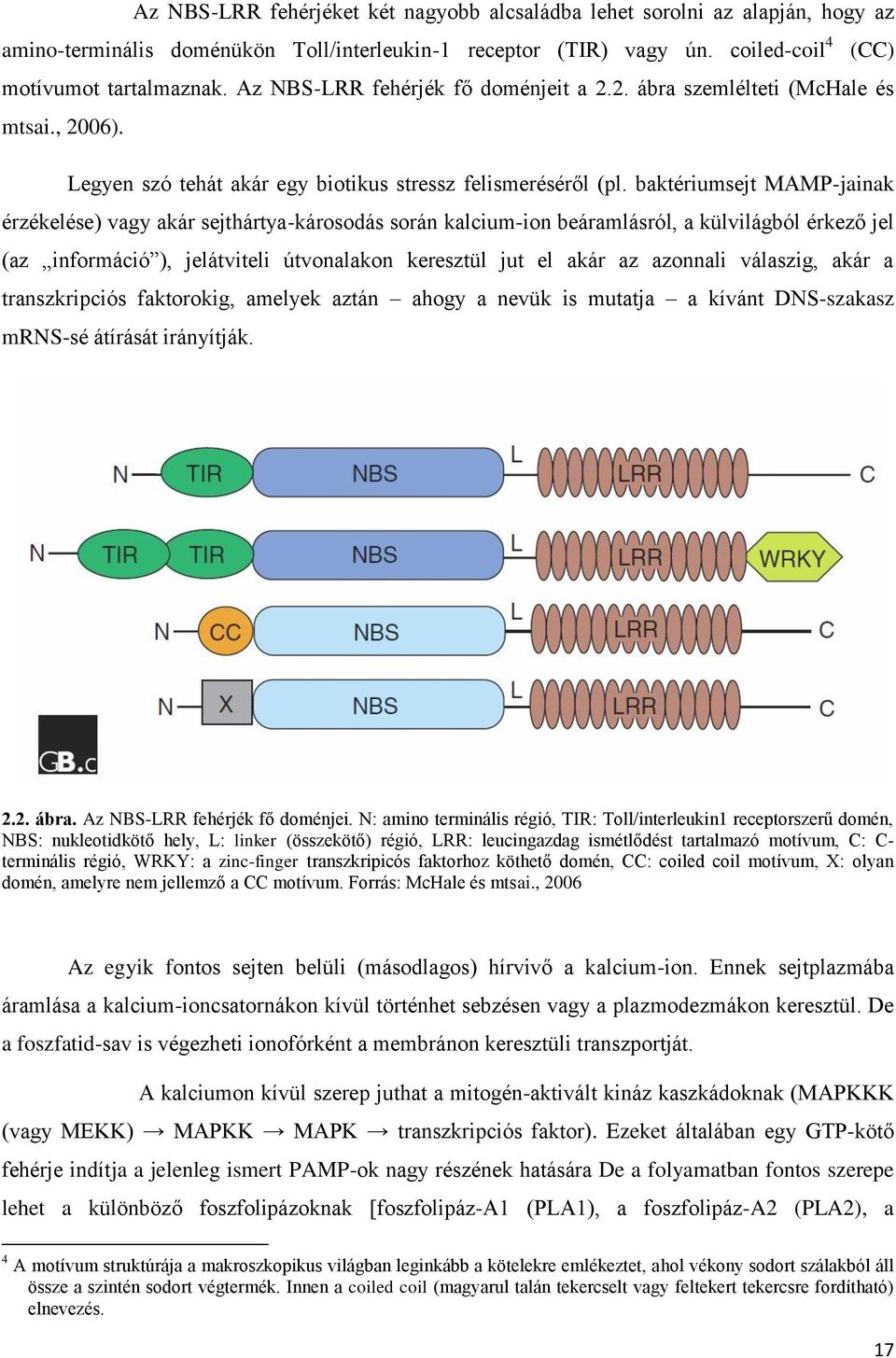 baktériumsejt MAMP-jainak érzékelése) vagy akár sejthártya-károsodás során kalcium-ion beáramlásról, a külvilágból érkező jel (az információ ), jelátviteli útvonalakon keresztül jut el akár az