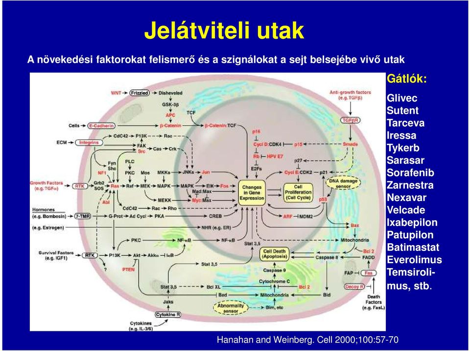 Sarasar Sorafenib Zarnestra Nexavar Velcade Ixabepilon Patupilon