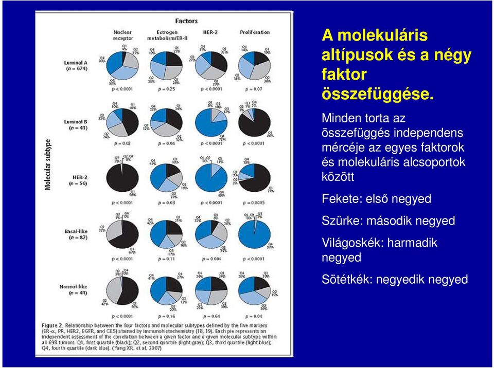 faktorok és molekuláris alcsoportok között Fekete: első negyed