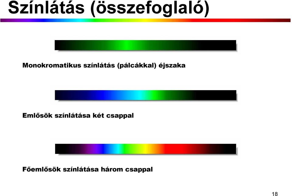 (pálcákkal) éjszaka Emlősök