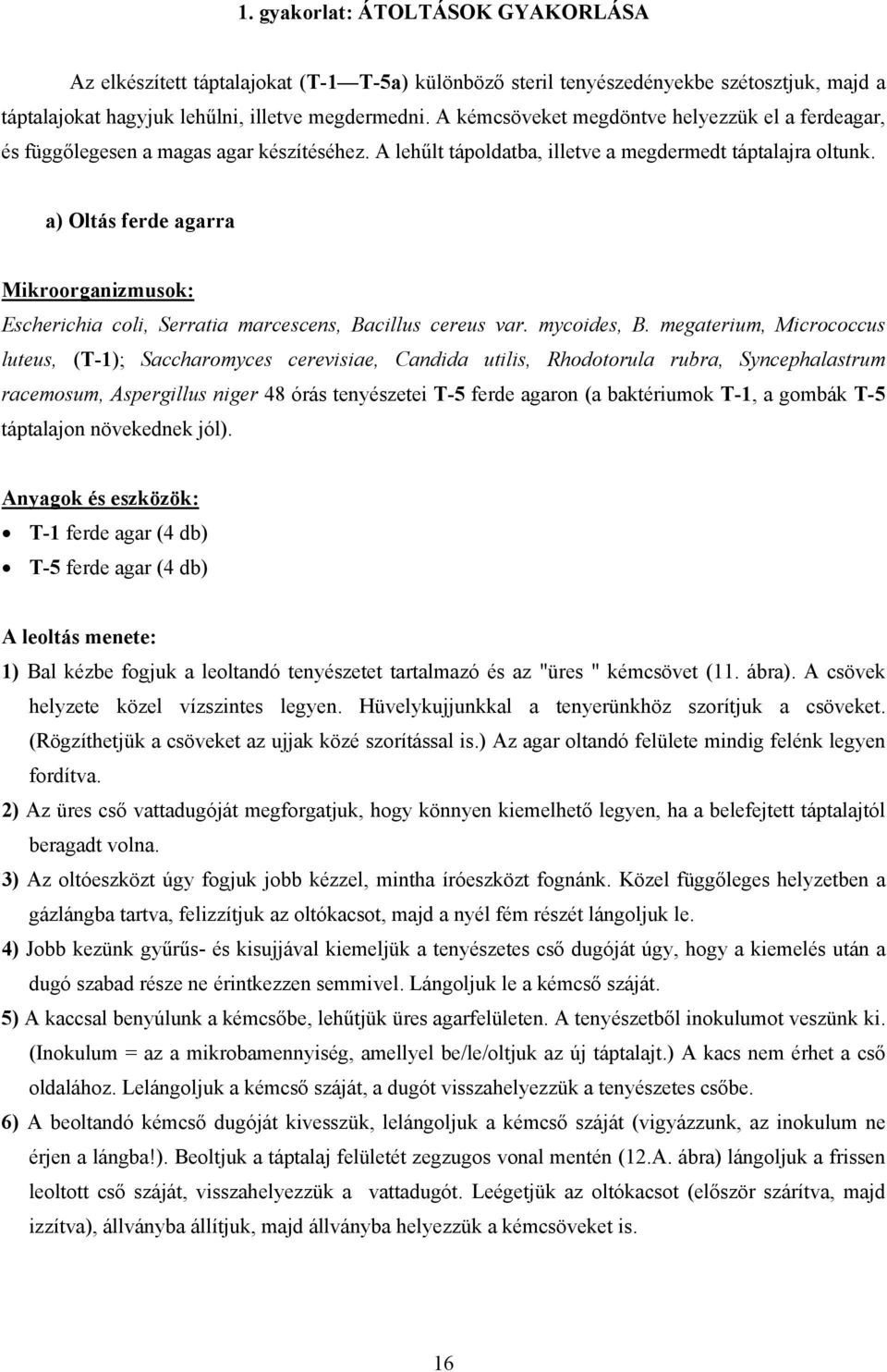 a) Oltás ferde agarra Mikroorganizmusok: Escherichia coli, Serratia marcescens, Bacillus cereus var. mycoides, B.